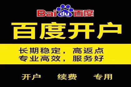 企业SEM托管代运营实战案例